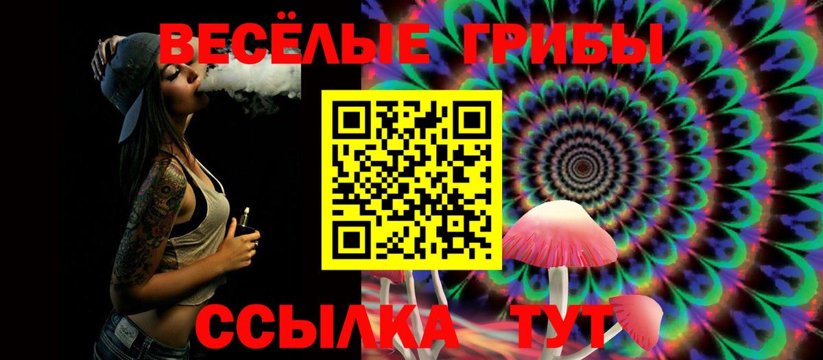 Псилоцибиновые грибы Cubensis Ставрополь