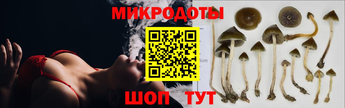 Псилоцибиновые грибы мицелий  как найти закладки  Ставрополь  Вход с VPN  Псилоцибиновые грибы GOLDEN TEACHER 