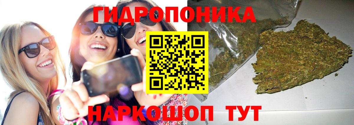 МАРИХУАНА сатива Ставрополь